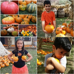 Irvine Park RailRoad's 10th annual Pumpkin Patch